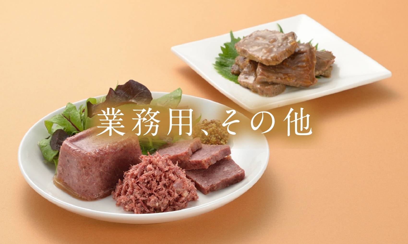 逸品】ホリカフーズ株式会社 オクノス（OKUNOS）栄養支援スープ 詰め合わせ 6品×5袋入×2セット（合計60袋）（発送までに6-10日かかります)(ご注文後のキャンセルは出来ません）  介護用品